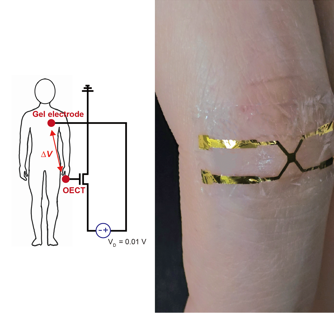 박성준 교수팀, 낮은 전력으로도 정확·안정적으로 구동가능한 정밀전자피부(e-skin) 개발