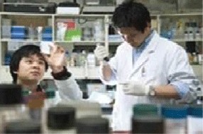 면역제어소재 관련사진