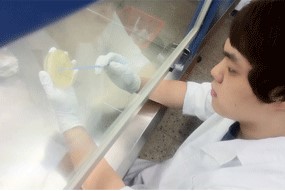 분자생물학 관련사진