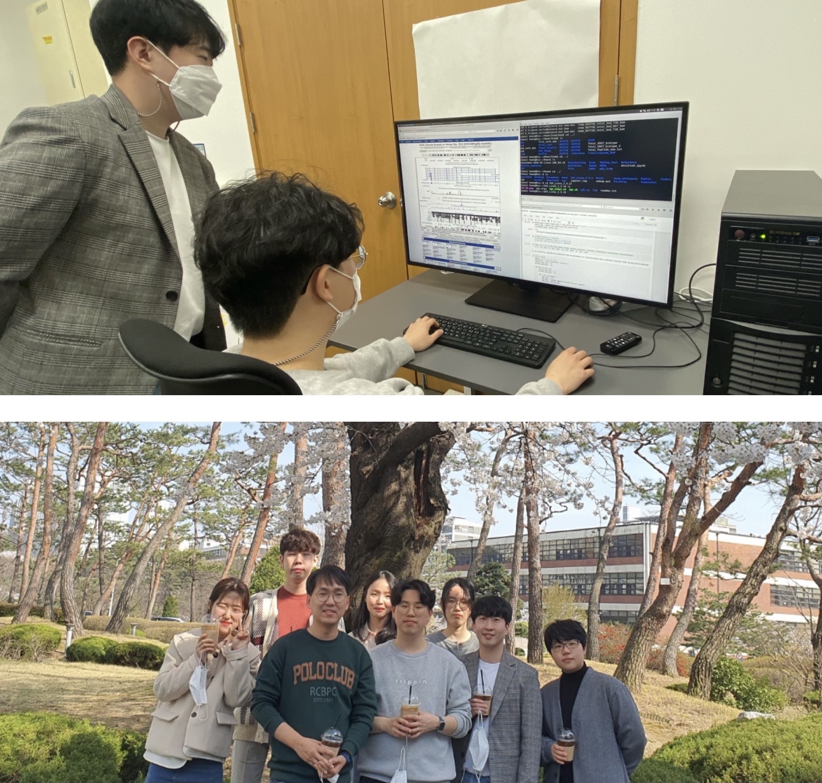 발생생리학 관련사진