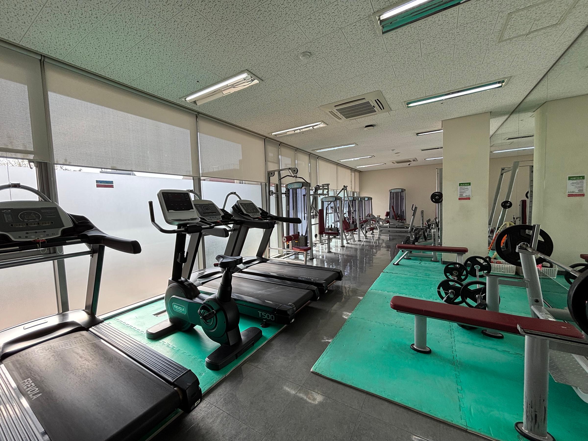 Gymnasium
